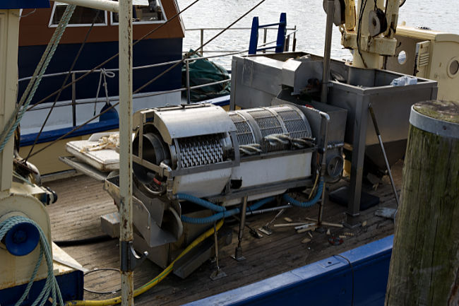 Büsum - cutter
