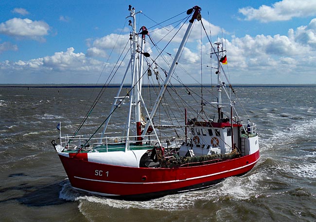 Büsum