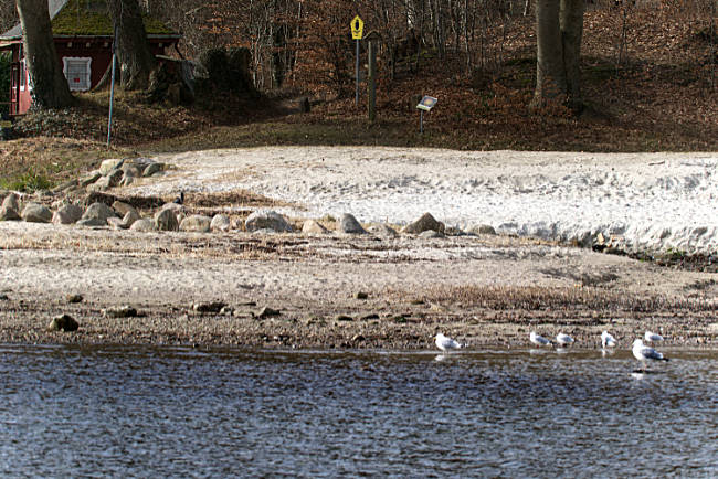 Strandabschnitt neben der Mündung des Lachsbachs in Ostseebad - Bremen sehenswert - distant places