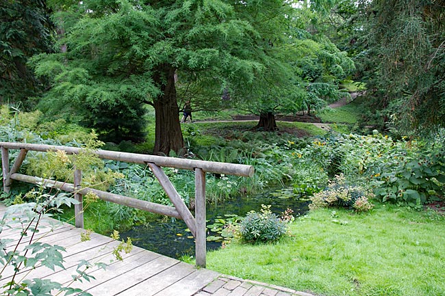 Kiel - In the Old Botanical Garden