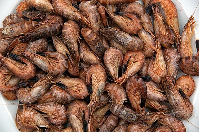 Norden-Norddeich - Available in every fish shop during the season: shrimp, also known as granat