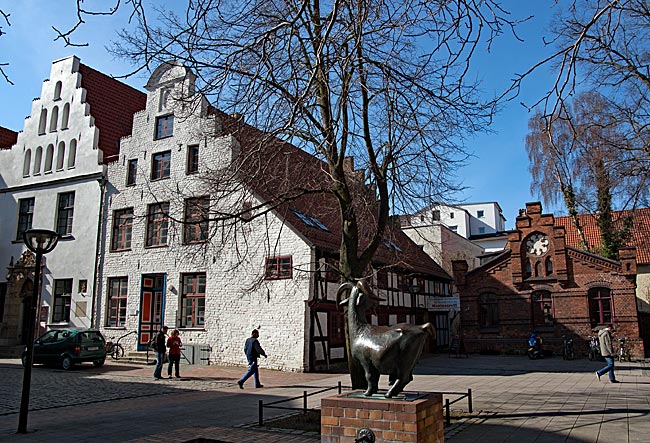 Rostock - Ziegenmarkt with fountain, Kantorat, and the Old Mint to the left