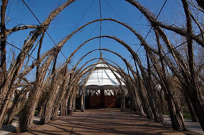 Rostock - Leafless willow dome in spring in IGA Park