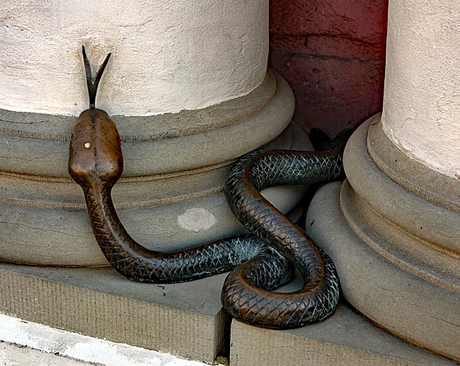 Rostock - town hall - bronze snake