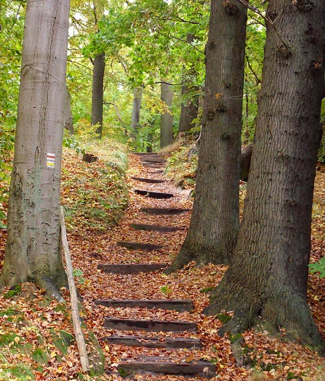 Göhren on Rügen island - Hiking in autumn on the Nordperd
