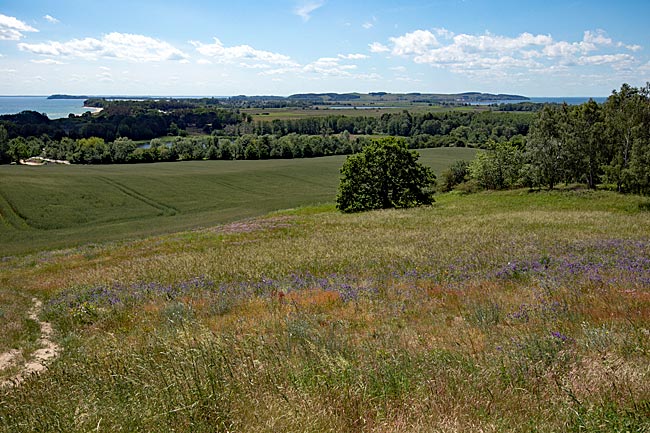 Göhren on Rügen island - View from Speckbusch over Mönchgut