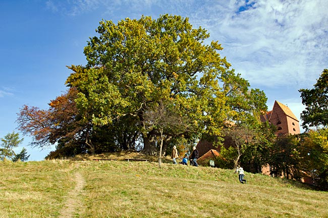 Rügen island, Göhren - Church and Speckbusch burial mound