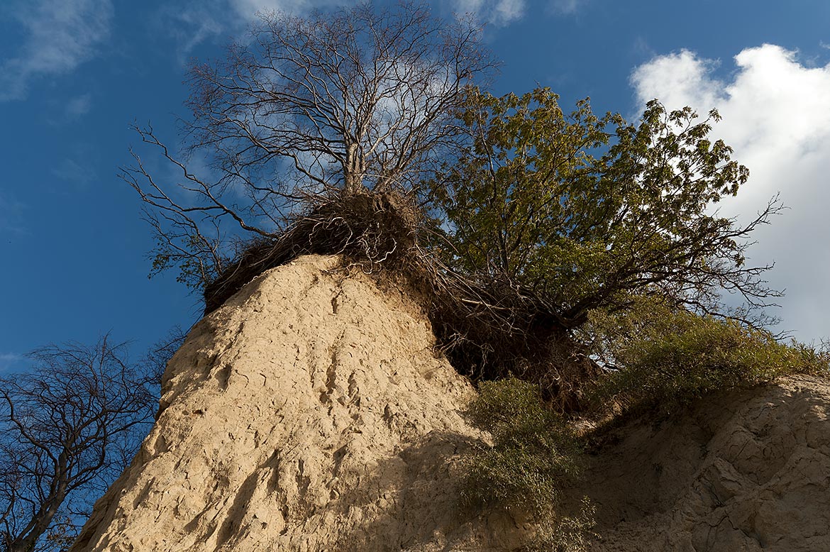 Rügen - cliffs