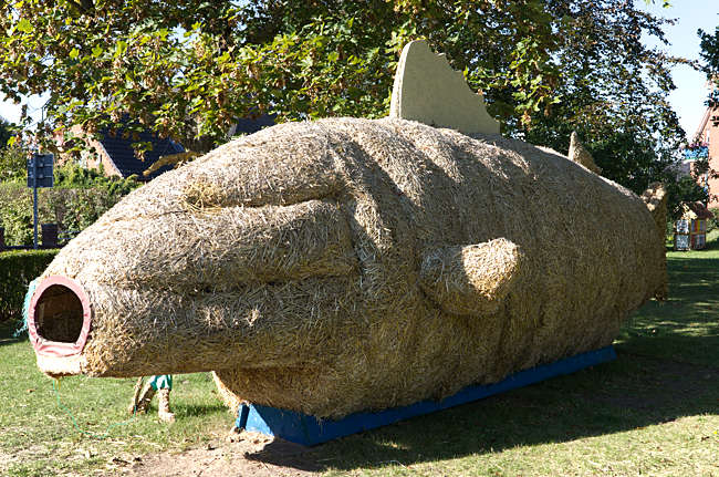 A perch made of straw - Probstei
