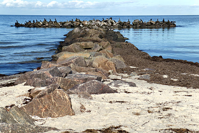 Proven measure to break the power of the waves - Schönberger Strand - Probstei