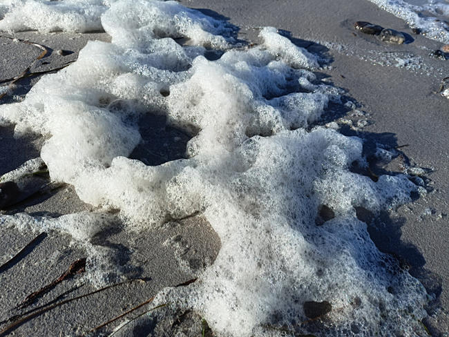 foam on the beach near Schönberger Strand - Probstei