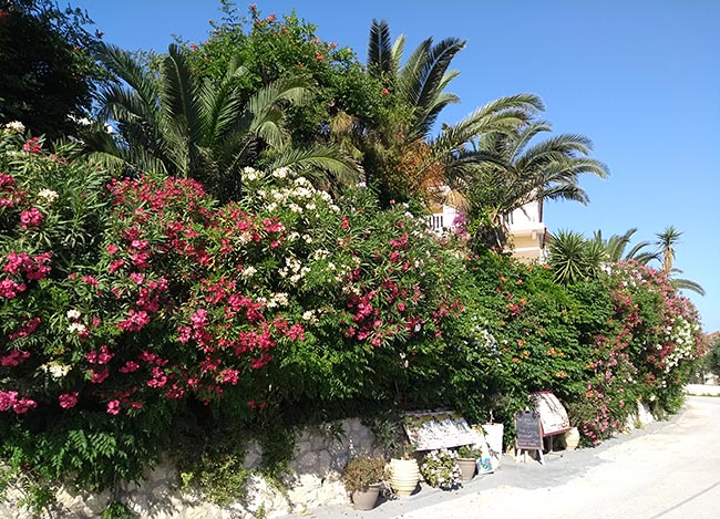 Ionian island Zakynthos in Greece