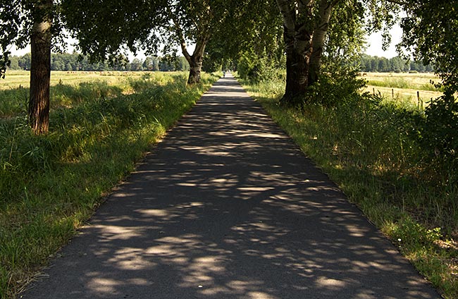 Jan-Reiners-Weg